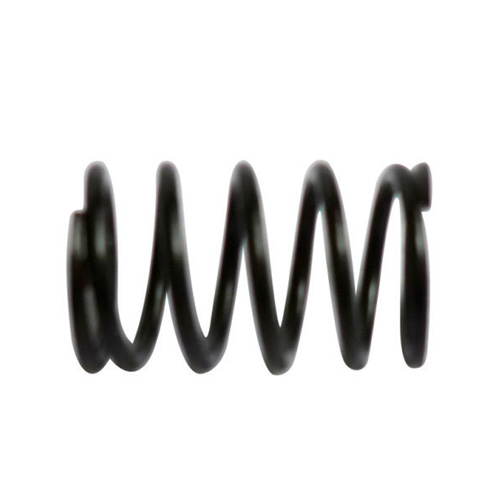 Valve spring