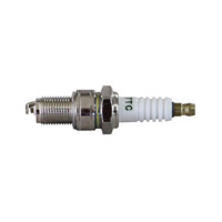 Spark plug